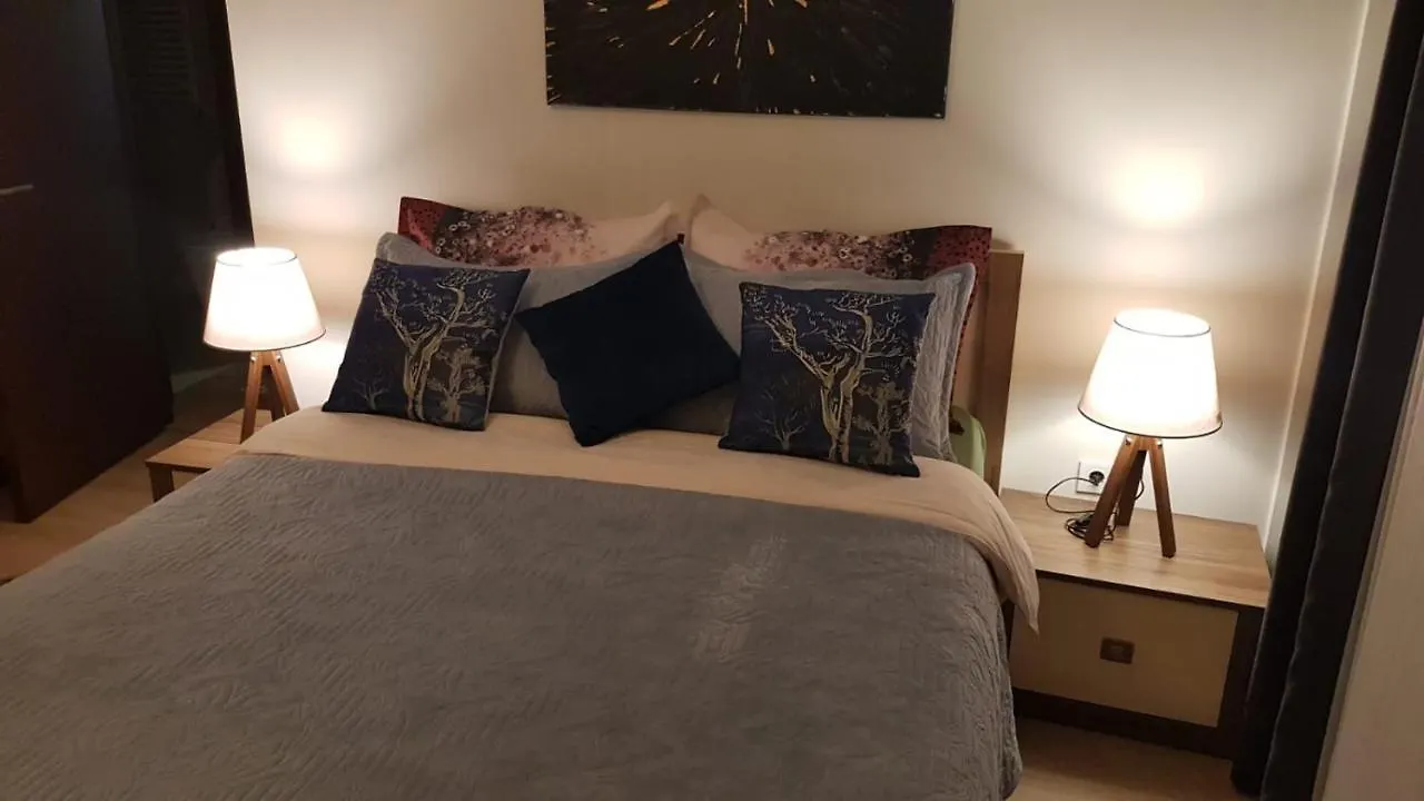 Magneficent Luxury Residence With Pool And Fitnes Stambuł Apartament