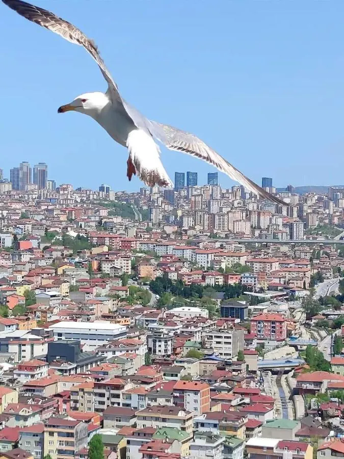 Apartment Magneficent Luxury Residence With Pool And Fitnes Istanbul